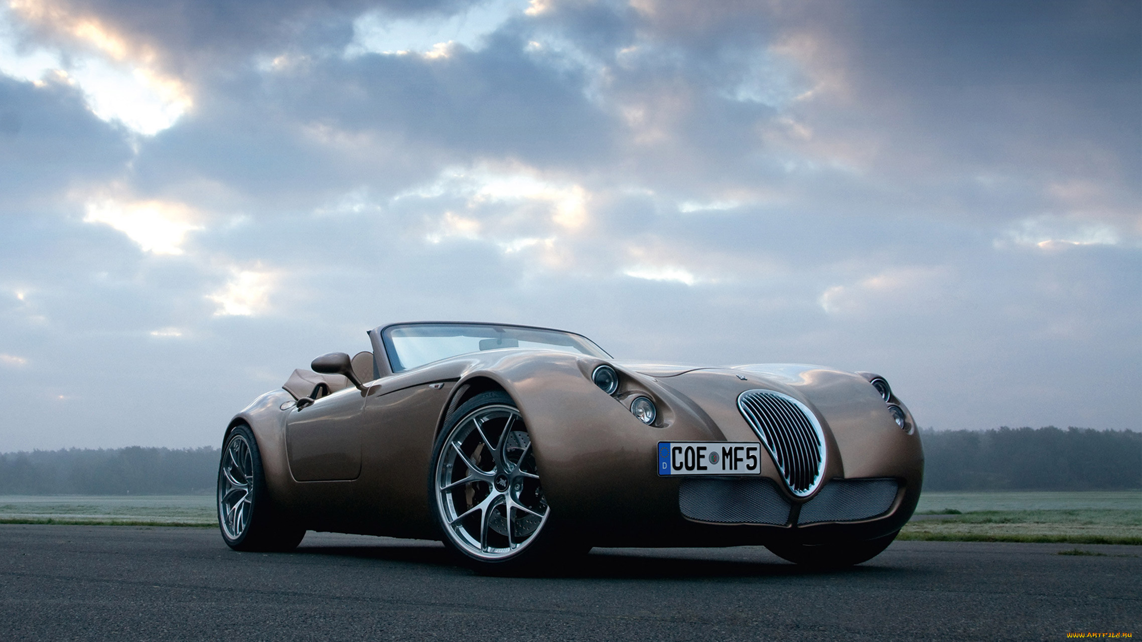 wiesmann roadster mf5 2011, , wiesmann, mf5, roadster, 2011